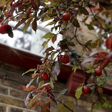 Beautiful London Home Sleeps 6, 2 Minutes To Metro Екстер'єр фото