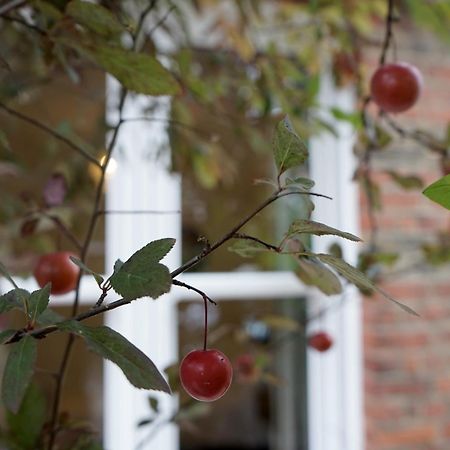 Beautiful London Home Sleeps 6, 2 Minutes To Metro Екстер'єр фото